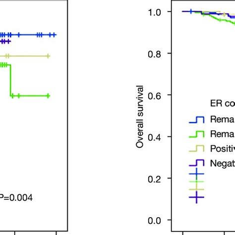 Disease Free Survival Dfs A And Overall Survival Os B Curves Download Scientific