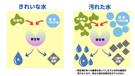 きれいな水を守るためにまずは台所の生活排水から家庭でできる地球のきれい 株式会社 イーエスエス