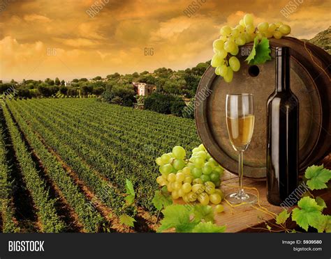 Wine Vineyard Sunset Image Photo Free Trial Bigstock