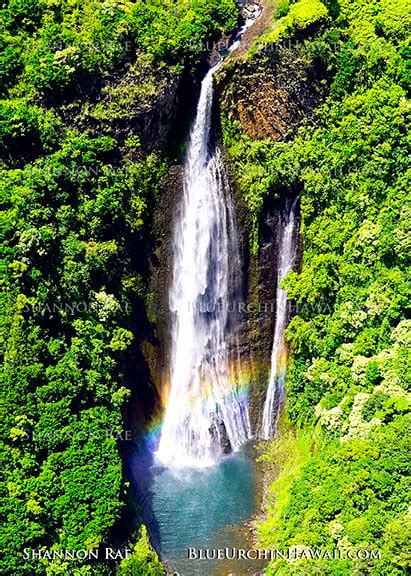 Jurassic Falls Kauai Photo Print