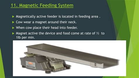 Feeding System For Livestock And Poultry Ppt