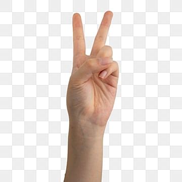 Gesture Arm Finger Gesture Limb Hand Skin PNG Transparent Image And