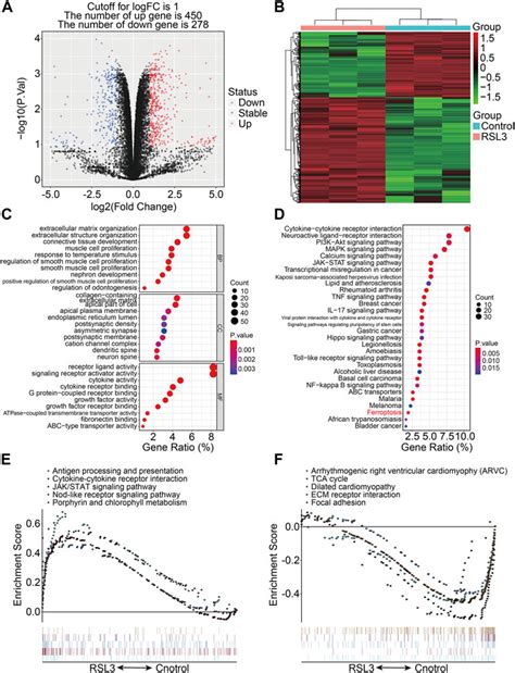 Frontiers Identification Of A Novel Gene Signature With Regard To Ferroptosis Prognosis