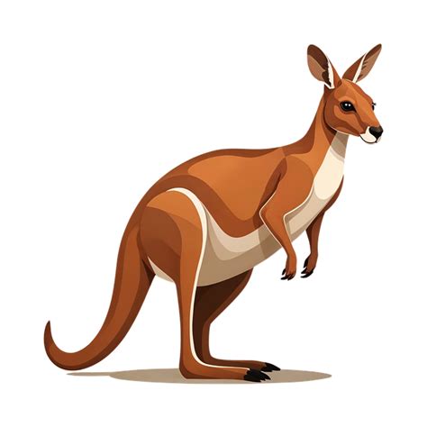 Download Kangaroo Marsupial Animal Royalty Free Stock Illustration