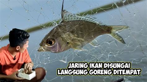 Jaring Ikan Di Pinggir Pantai Langsung Dimasak Youtube