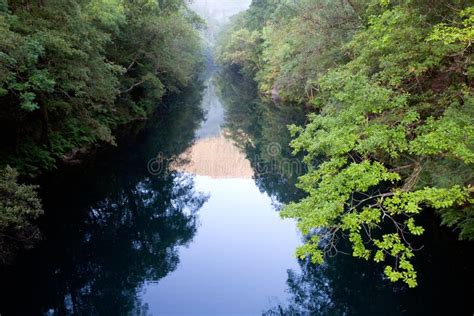 Beautiful Scenery Of A River Stock Image - Image of park, costa: 20871637