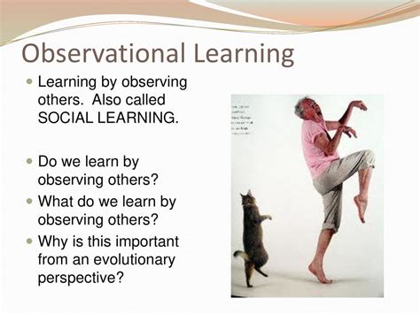 Observational Learning Ppt Download