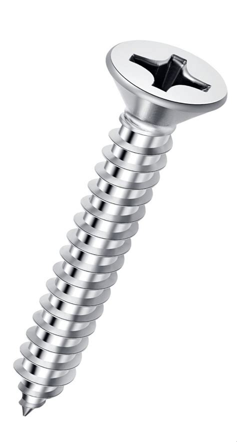 Stainless Steel Drywall Screw SS Screw Stailess Steel Self Tapping