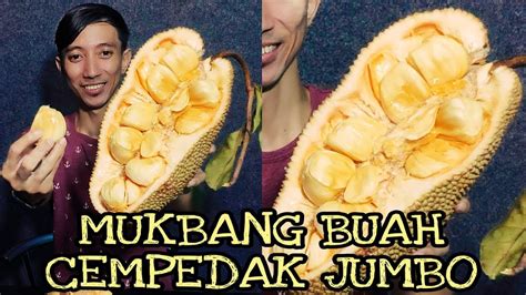 Mukbang Buah Cempedak Jumbo Youtube