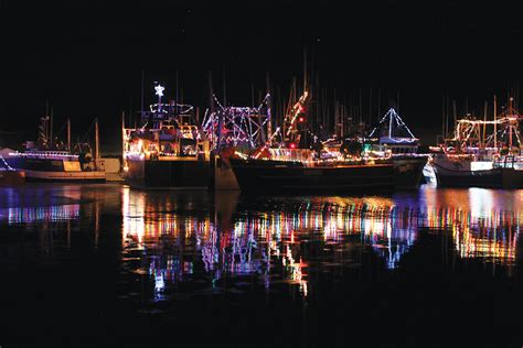 Navigator Magazine Port De Grave Light Show