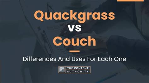 Quackgrass Vs Couch Differences And Uses For Each One