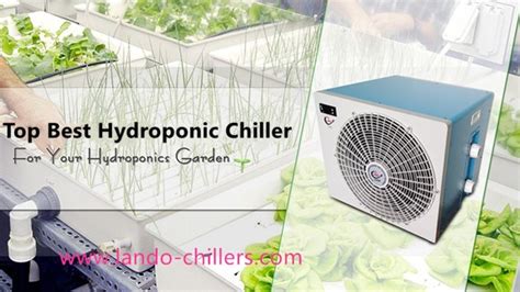 The Ultimate Guide To Choosing The Hydroponic Chiller