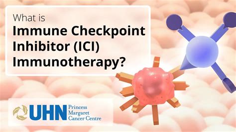 Introduction To Immune Checkpoint Inhibitor Ici Immunotherapy Youtube