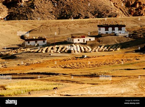 spiti valley height  res stock photography  images alamy