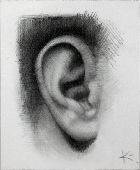 David Kassan - MY EAR, black and white, drawing, hyper-realistic, human ...