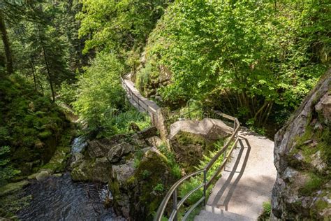 Hiking Trail Downhill at All Saints Waterfalls, Black Forest, Germany ...