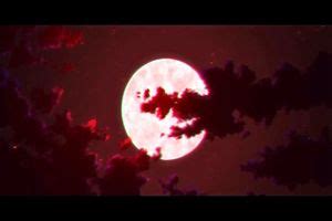 Watch 対魔忍不知火淫欲の奴隷娼婦 Anime Hentai Taimanin Porn SpankBang