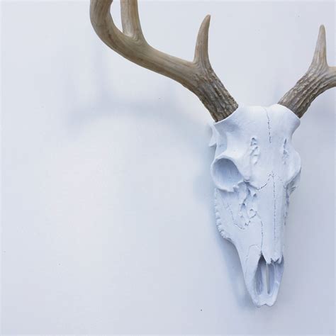 Any Color Realistic Deer Skull Wall Mount Fake Deer Antlers