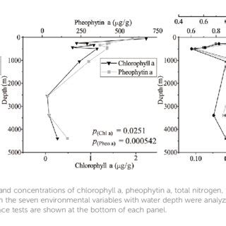 Substrate Specificity And Kinetic Parameters Of Recombinant SlCLHs