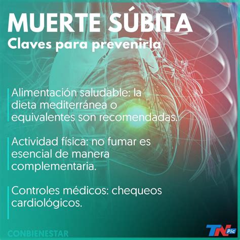 C Mo Prevenir La Muerte S Bita Que Mata A Cuatro Personas Por Hora En