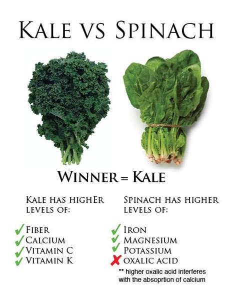 The Kale Vs Spinach Showdown Thisvsthat Potassium Vitamins