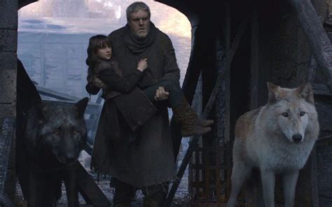 Direwolf Theories Everything We Know About Ghost And Nymeria In Game Of Thrones Dire Wolf