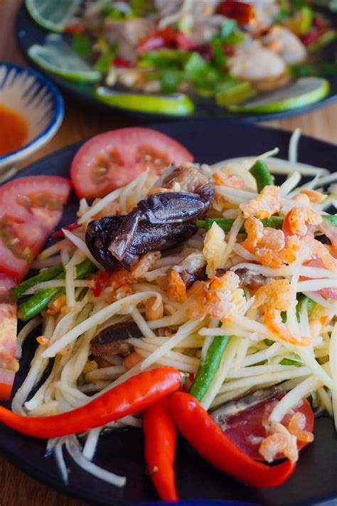 Papaya Salad Vegetable - Free photo on Pixabay - Pixabay