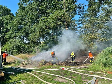 FW Celle Feuer droht auf Wald überzugreifen Presseportal