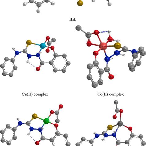 The Dft Optimized Structures Of The H 4 L And Its Complexes Download Scientific Diagram