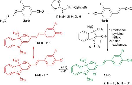 Optical Responses Of Probe 1a 10 M M Towards Various PH Values With