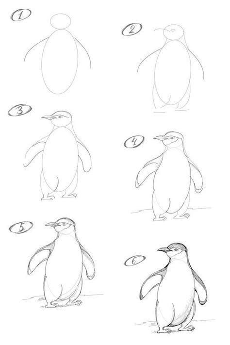 How To Draw A Penguin With A Pencil Step By Step Drawing Tutorial