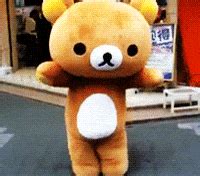 Teddy Bear Sex GIFs Find Share On GIPHY