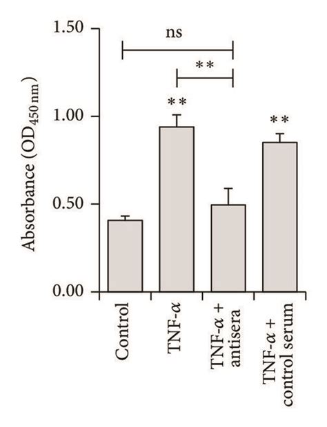 Serum Antibody Response Of Mice Immunized With Mrtnf Padre And Download Scientific Diagram