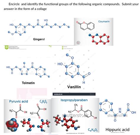 Solved Encircle And Identify The Functional Groups Of The Chegg