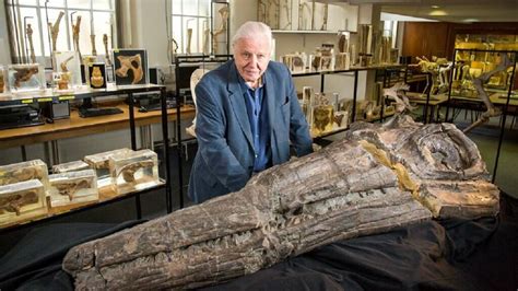 REVIEW: Attenborough's Still Got It In The Giant Sea Monster