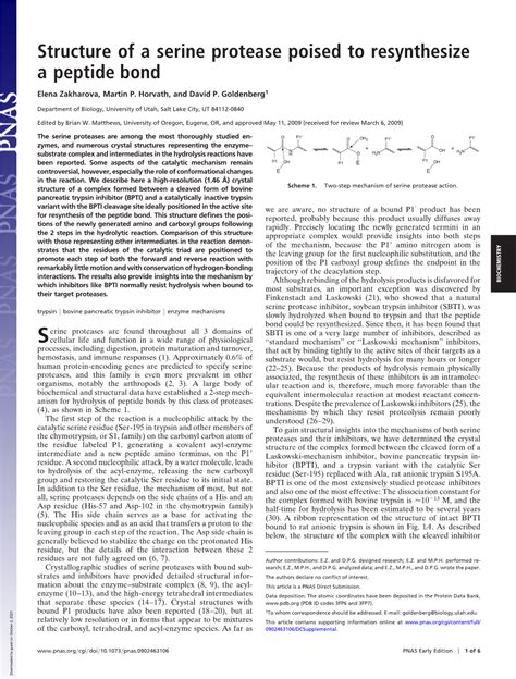 Structure of a Serine Protease Poised to Resynthesize a Peptide Bond - DocsLib