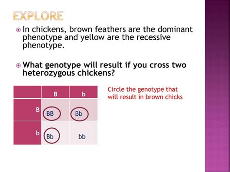 Heredity And Reproduction Ppt Download