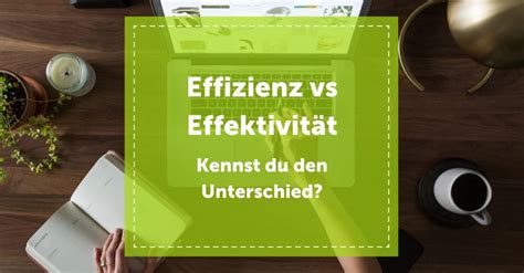 Effizienz vs Effektivität NEVEREST Lifelong Learning