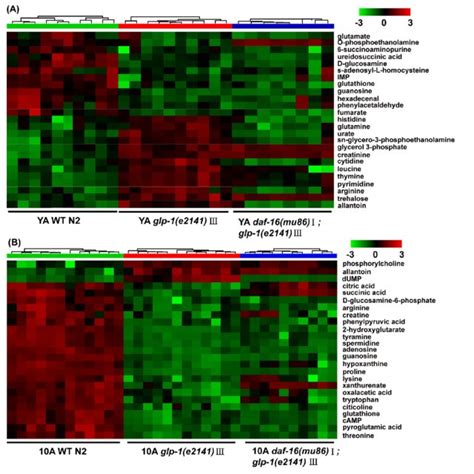 Uplc Ms Based Metabolic Profile Analysis Of The Long Lived Glp E