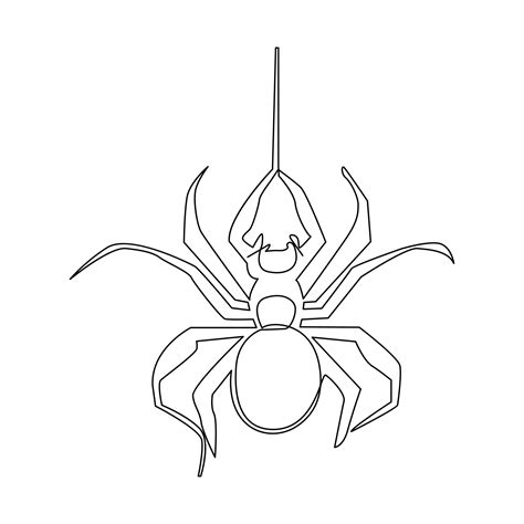 Vector in one continuous line drawing of spider illustration minimal ...