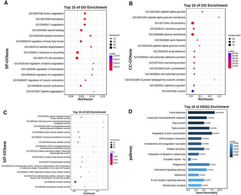 The Go And Kegg Pathway Enrichment Analyses Of Genes Targeted By