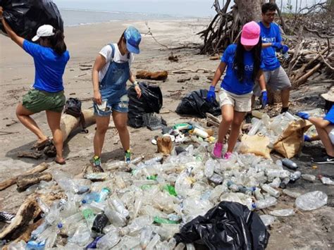 Persuasivo Miseria Manga Causas De La Contaminacion De Las Playas