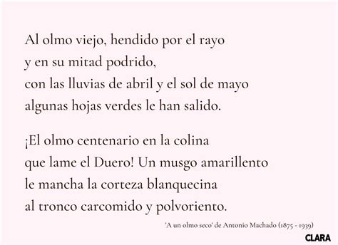 Los 75 poemas más bonitos en lengua española