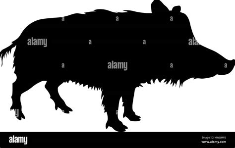 Vektor Illustratin Od Wildschwein Silhouette Stock Vektorgrafik Alamy