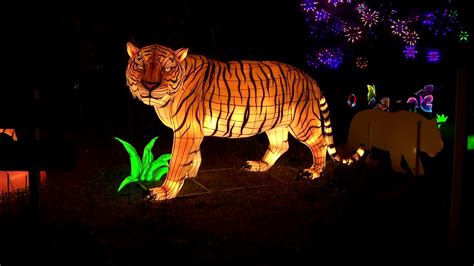 Road Trip: Glow Wild Lantern Festival lights up the night at Beardsley Zoo