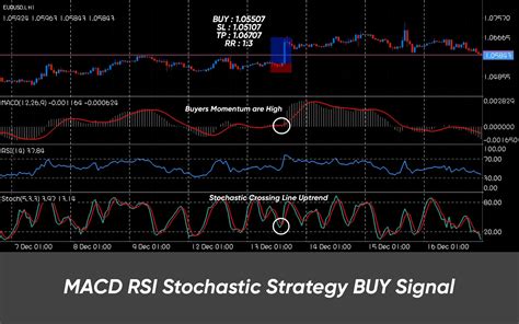 Macd Rsi And Stochastic Strategy The Forex Geek