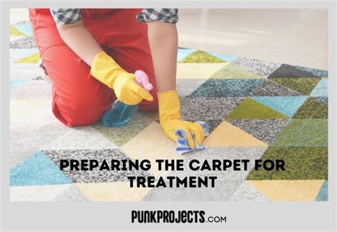 How To Kill Fleas in Carpet (Preventing & Treating) - PuNk PrOjEcT