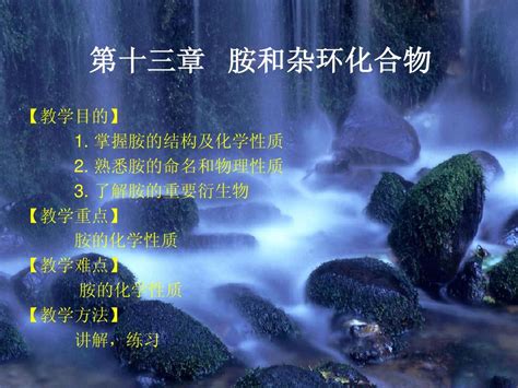 胺和杂环化合物北医大word文档在线阅读与下载无忧文档