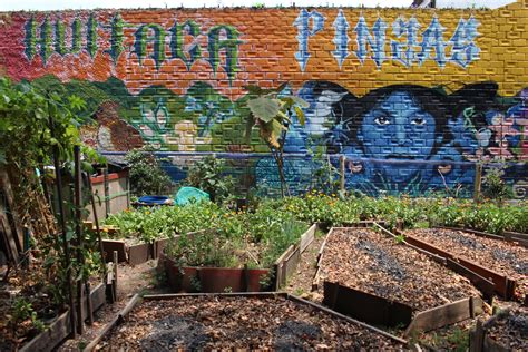 Podando Estigmas Huitaca La Huerta Urbana De Los Pinzas