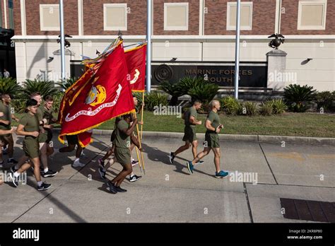 U S Marines And U S Navy Sailors With Marine Forces Reserve And U S